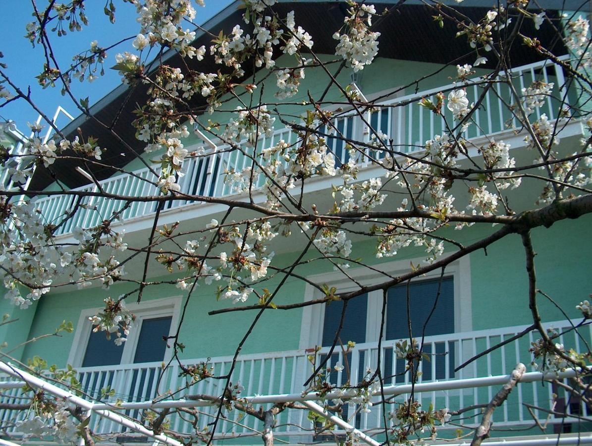 Hotel Pansion Devotions Međugorje Esterno foto